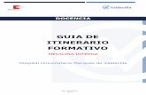 GUIA DE ITINERARIO FORMATIVO