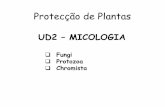 Protecção de Plantas - ULisboa