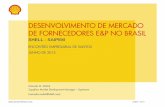 DESENVOLVIMENTO DE MERCADO DE FORNECEDORES E&P NO …