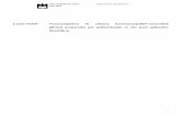 Louise SAIDI Nanocompósitos de celulose bacteriana/poli(N ...