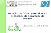Atuação do CO supercrítico em processos de separação de ...