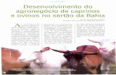 SOCIOECONOMIA Desenvolvimento do agronegócio de caprinos ...