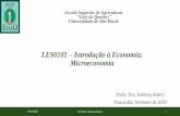 LES0101 Introdução à Economia: Microeconomia
