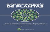 CHAVE DE IDENTIFICAÇÃO DE PLANTAS
