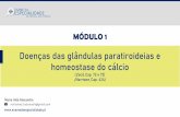 Doenças das glândulas paratiroideias e homeostase do cálcio