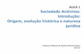 Sociedade Anônima: Introdução: Origem, evolução histórica ...