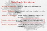 Classificação das Micoses