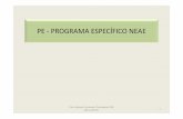 PE -PROGRAMA ESPECÍFICO NEAE