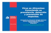 Virus en Alimentos: Conociendo su prevalencia, detección y ...