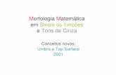 Morfologia Matemática em Sinais ou funções e Tons de Cinza