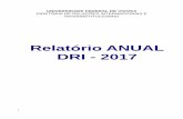 Relatório ANUAL DRI - 2017