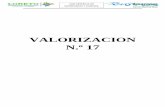 VALORIZACION N.º 17
