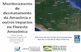 de desmatamento da Amazônia e outros impactos na Floresta ...
