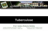 Tuberculose - edisciplinas.usp.br