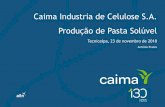 Caima Industria de Celulose S.A. Produção de Pasta Solúvel