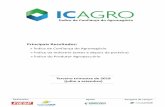 Principais Resultados - ICAGRO