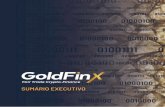 SUMÁRIO EXECUTIVO - GoldFinX