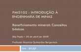 PMI3102 - INTRODUÇÃO À ENGENHARIA DE MINAS …