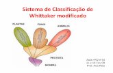 Sistema de Classificação de Whittaker modificado