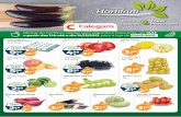 Verduras Frutas Legumes Processados