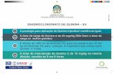 DIHIDROCLORIDRATO DE QUININA – EV