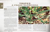 TRIPES - Embrapa