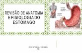 REVISÃO DE ANATOMIA E FISIOLOGIA DO ESTÔMAGO