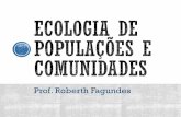 Prof. Roberth Fagundes - UFOP