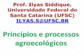 Prof. Ilyas Siddique, Universidade Federal de Santa ...