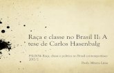 Raça e classe no Brasil II: A tese de Carlos Hasenbalg