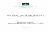 LEI Nº 13.300/2016: CONSOLIDAÇÃO DA JURISPRUDÊNCIA DO STF ...