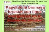 Papel de la biomasa forestal con fines energéticos en la ...