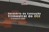 Relatório de Execução do OGE I Trimestre de 2021