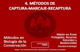4. MÉTODOS DE CAPTURA-MARCAJE-RECAPTURA