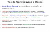 Tecido Cartilaginoso e Ósseo - Moodle USP: e-Disciplinas