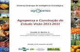 Agropensa e Construção do Estudo Visão 2013-2033