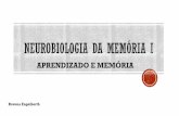 APRENDIZADO E MEMÓRIA - arquivos.info.ufrn.br