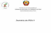 Sumário do PEN V - U.S. Embassy in Mozambique