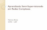 Aprendizado Semi-Supervisionado em Redes Complexas