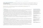 CASO CLÍNICO/CASE REPORT Vasculite Primária do Sistema ...