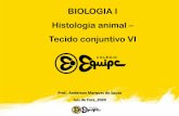 BIOLOGIA I Histologia animal – Tecido conjuntivo VI