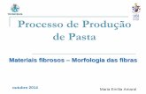 Processo de Produção de Pasta - Tecnicelpa