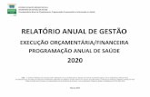 RELATÓRIO ANUAL DE GESTÃO - saude.ms.gov.br