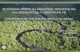 ECONOMIA VERDE NA AMAZÔNIA: DESAFIOS NA VALORIZAÇÃO …