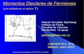 Momentos Dipolares de Fermiones - fisica.edu.uy
