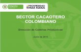 SECTOR CACAOTERO COLOMBIANO