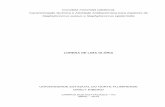 Cucurbita moschata (abóbora): Caracterização Química e ...