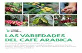 LAS VARIEDADES DEL CAFÉ ARÁBICA