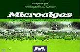 Microalgas: potenciais aplicações e desafios