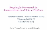 Regulação Hormonal da Homeostase do Cálcio e Fósforo